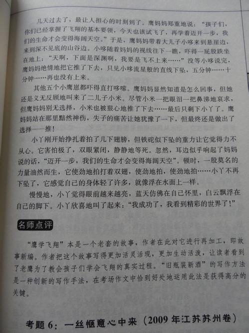 致我中华 初中生正能量作文800字