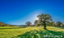 原创 武汉加油的作文有哪些？武汉加油共抗疫情的800字作文五篇