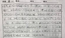 战疫，武汉不孤单 高三作文900字
