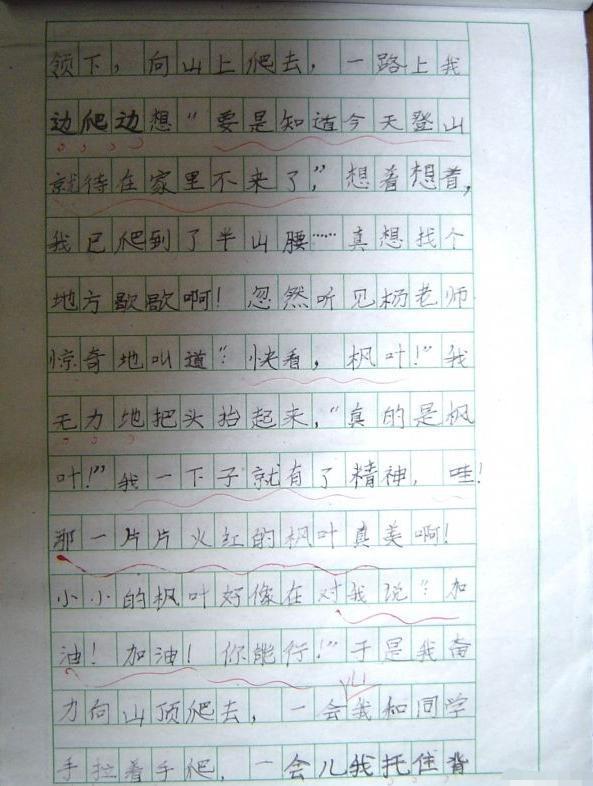 学生时代的作文,每个人都用过的“梗”,老师:标点符号都一样 4
