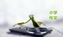 《独爱夏天》小学作文写不出，试试使用句式来激发孩子的思路吧