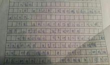 2008年江西中考满分作文：有时，我也想任性一次_1200字