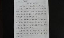 论传统文化 小学记叙文400字