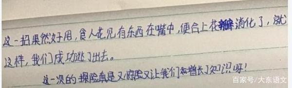 五年级小学生的一篇习作，如何写出钉钉优秀作文？ 1