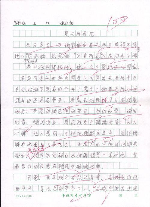 2008内蒙赤峰中考满分作文赏析――享受黑夜_900字