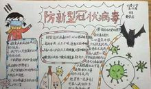 同抗新冠肺炎，共战二零高考 疫情作文800字