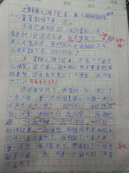第一次钓鱼 小学写事作文300字