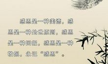 “感恩”是给父母最好的礼物_650字