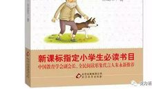 《怪老头儿》读后感