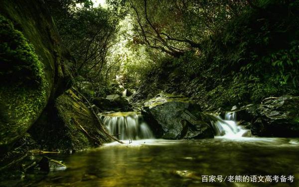 高考作文辅导113:多元之美最为美 2