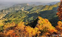 五年级作文：秋韵