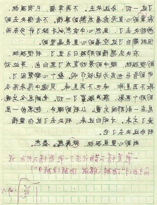 那双眼睛 写人的作文300字