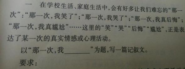 那一次，我真激动-国庆大阅兵作文700字