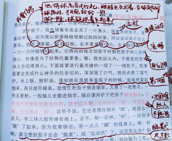孩子读了很多书,仍然写不好作文?试试思维导图做旁批! 2