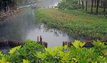 锦江湿地公园 美丽的公园作文400字