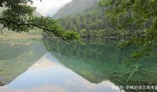 高考作文辅导113：多元之美最为美