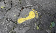 读后感：读《金色的脚印》有感