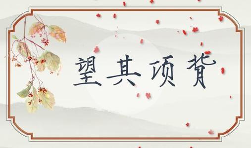 念其无畏，望其项背 高中议论文800字
