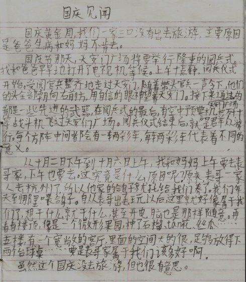 耀眼的光 写事的作文200字