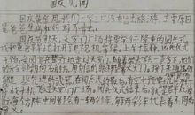 耀眼的光 写事的作文200字