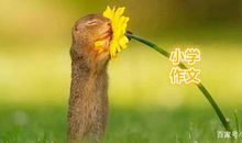 指导小学三年级作文时，可以不必去解释什么叫描写