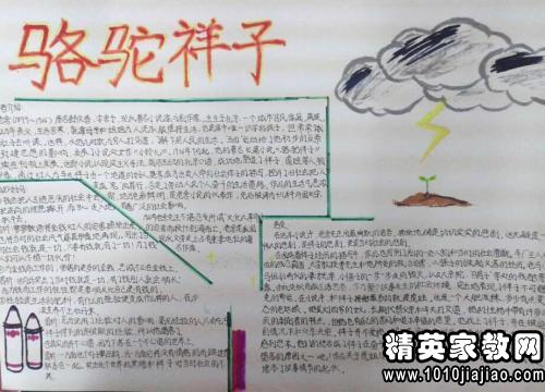 高二读后感：为梦想远行_夏洛的网读后感_900字