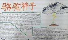 高二读后感：为梦想远行_夏洛的网读后感_900字