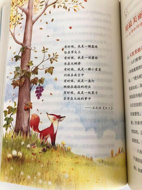 别怕作文！读了这套书，从作文困难户到“妙笔生花” 28