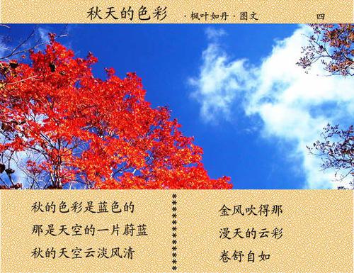 描写秋天的诗句_500字