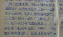 一次难忘的经历作文800字