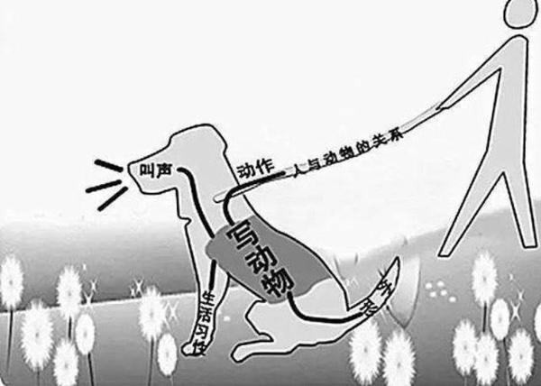 小学生不会改作文，把握两个要点，以后不再找家长 2