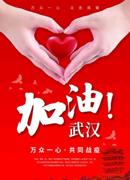 不同的春节 武汉必胜，中国必胜作文600字