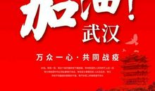 不同的春节 武汉必胜，中国必胜作文600字