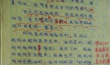 像春天一样 妈妈的爱作文700字