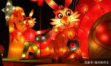 五年级作文：看花灯