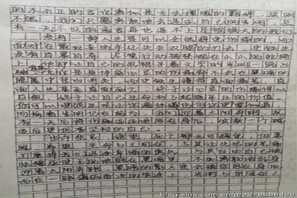 老良 写人的作文500字