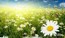 以点带面、重点突破-中考作文复习策略的一些思考