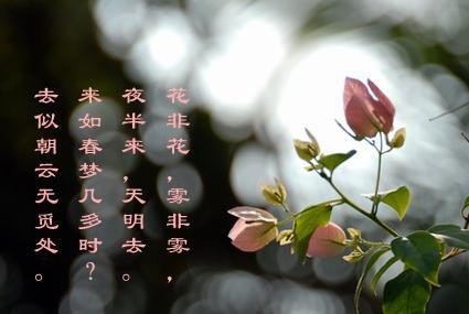 描写花的诗句