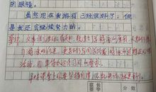 我的拿手好戏――炒菜作文500字