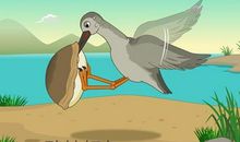 成语故事：鹬蚌相争_500字