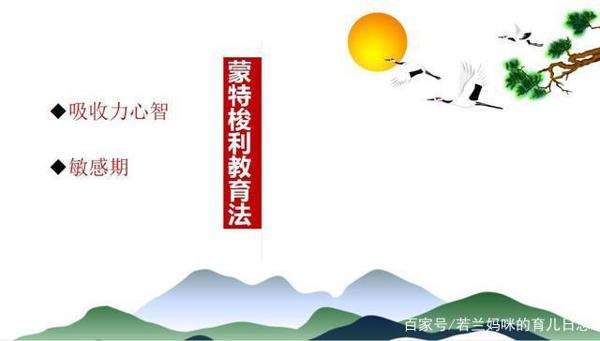 二年级开始写作文太早？80后宝妈：一年级开始写作文让我终生受益 16