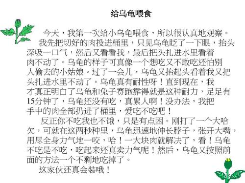四年级叙事作文：蚂蚁搬食_500字