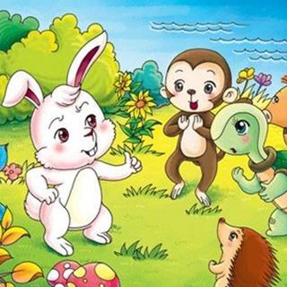 小灰兔的教训
