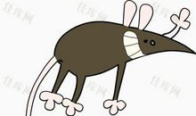 长尾巴鼠的悲哀