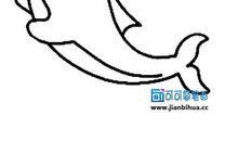 男孩与海豚_750字