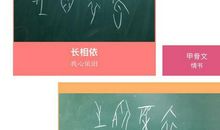 [时间征文]真正的爱情不是付出，而是珍惜_800字