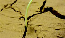 关于坚强的作文：教会我坚强_500字