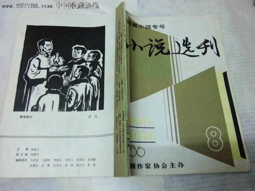 高中小说：只有艾未未公开_250字