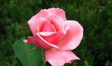 高一小说：何时相恋，你和我_500字