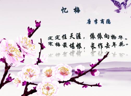 关于梅花的组成：梅花_1200个单词